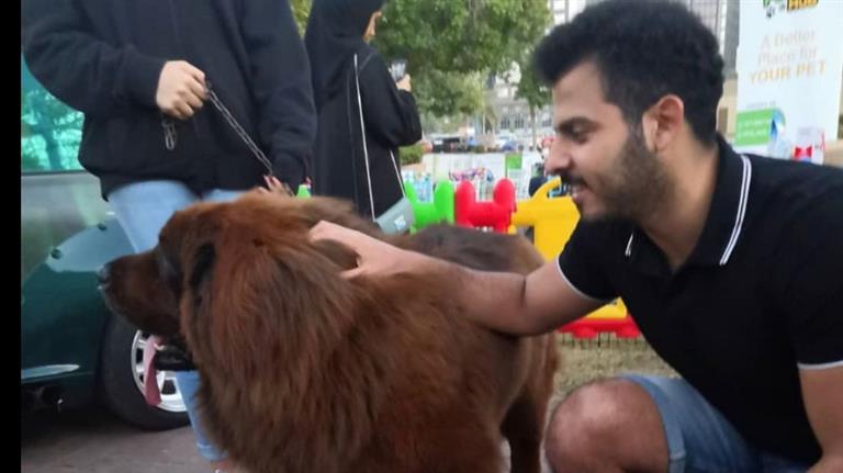 ahmed Dog boarding, Pet Boarding, Dog Walking and Pet Sitting.