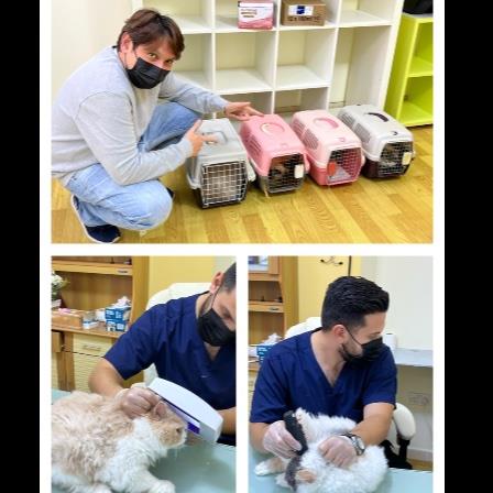 Zhay Pet hotel experience in real homes! 2