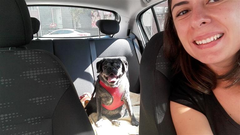 Mariam Dog boarding, Pet Boarding, Dog Walking and Pet Sitting.