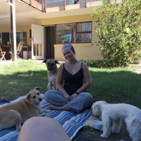 Christelle Pet hotel experience in real homes! 4