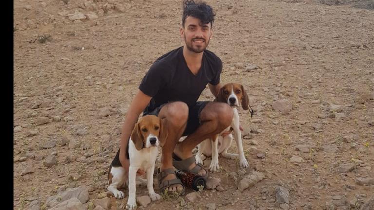 Wes Dog boarding, Pet Boarding, Dog Walking and Pet Sitting.