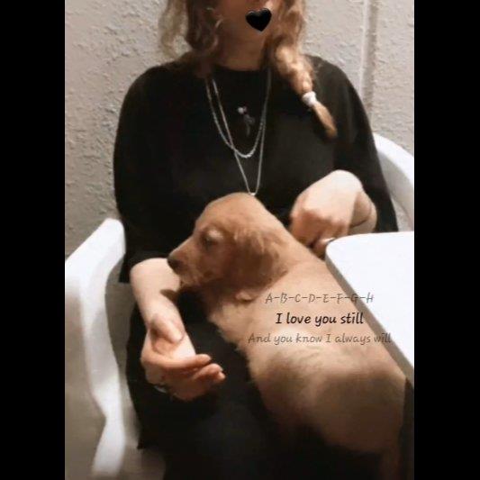 Suha Pet hotel experience in real homes! 4