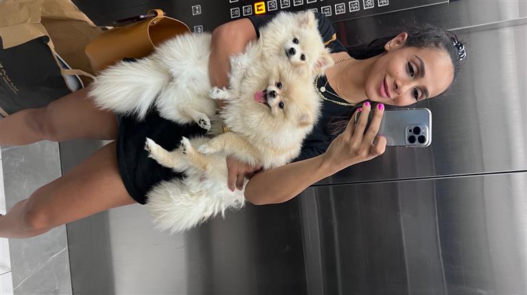 Sepideh Dog boarding, Pet Boarding, Dog Walking and Pet Sitting.
