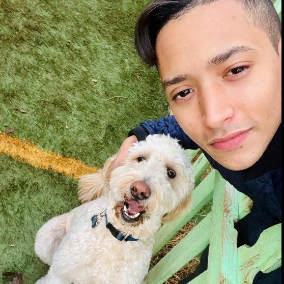 Jamie Pet hotel experience in real homes! 1