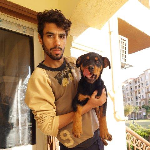Ahmed Pet hotel experience in real homes! 2