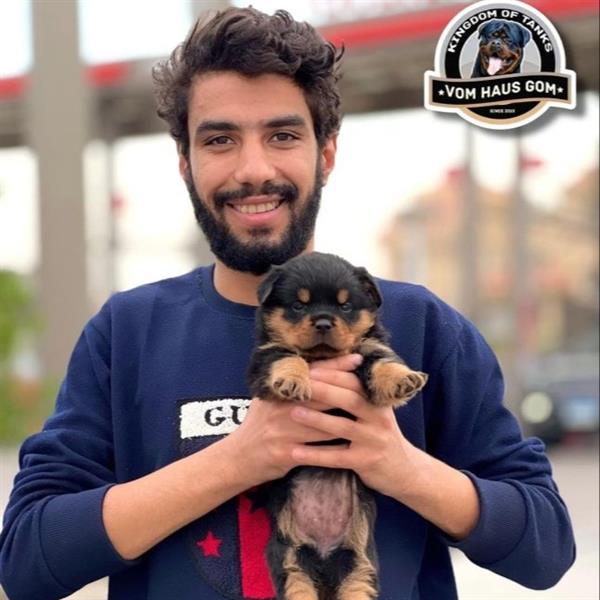Ahmed Pet hotel experience in real homes! 3
