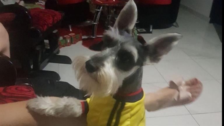 Edna fernanda  Dog boarding, Pet Boarding, Dog Walking and Pet Sitting.