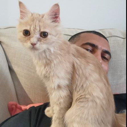 abdelhakim Pet hotel experience in real homes! 1
