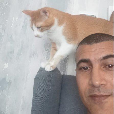 abdelhakim Pet hotel experience in real homes! 2