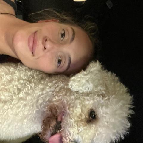 Sofia Pet hotel experience in real homes! 3