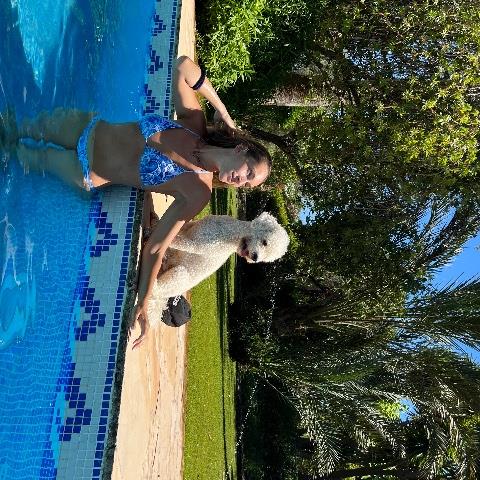 Sofia Pet hotel experience in real homes! 4
