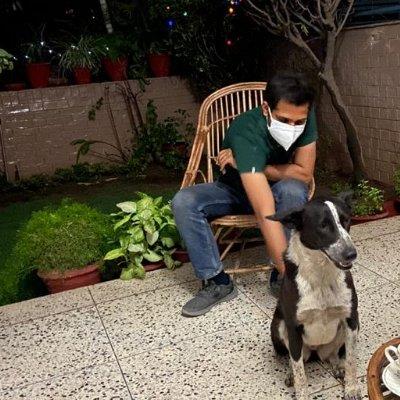 NITISH Pet hotel experience in real homes! 2