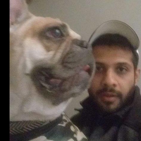 NITISH Pet hotel experience in real homes! 4