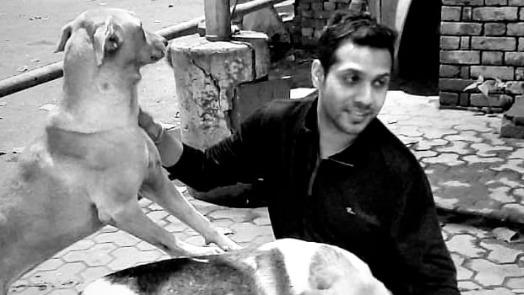 NITISH Dog boarding, Pet Boarding, Dog Walking and Pet Sitting.