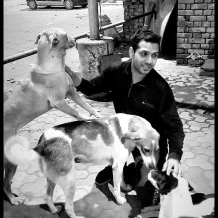 NITISH Pet hotel experience in real homes! 7