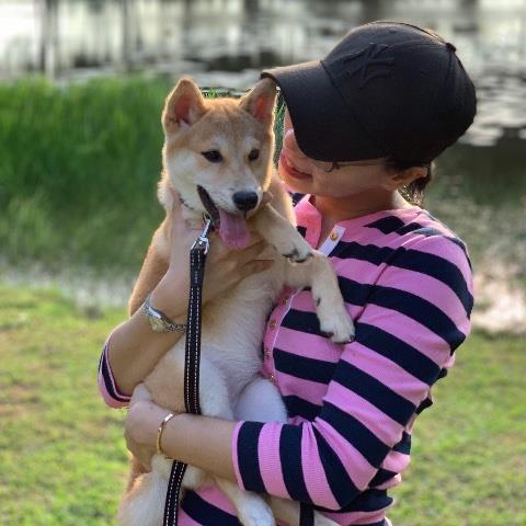 Hazirah Pet hotel experience in real homes! 2