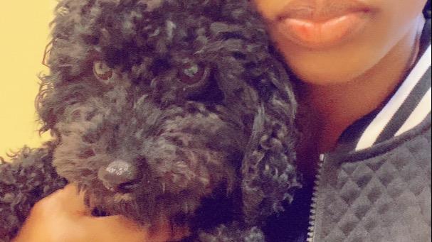 Juliet Dog boarding, Pet Boarding, Dog Walking and Pet Sitting.