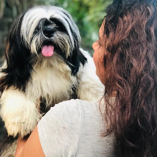 Ishari Pet hotel experience in real homes! 3