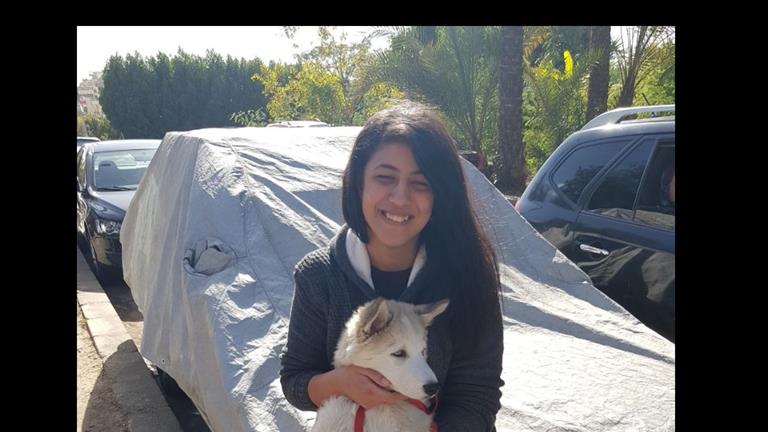 Hanar Dog boarding, Pet Boarding, Dog Walking and Pet Sitting.