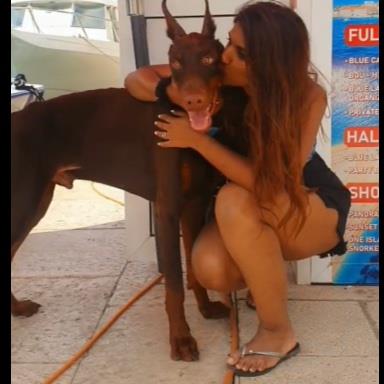 Nisha  Pet hotel experience in real homes! 8