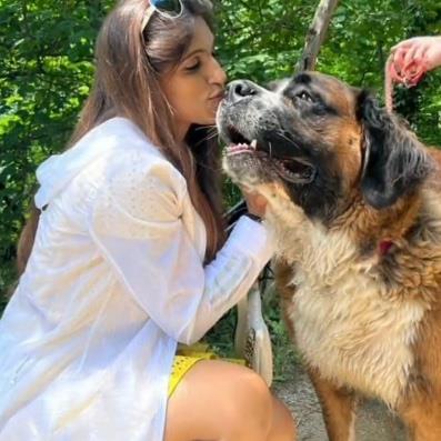 Nisha  Pet hotel experience in real homes! 9