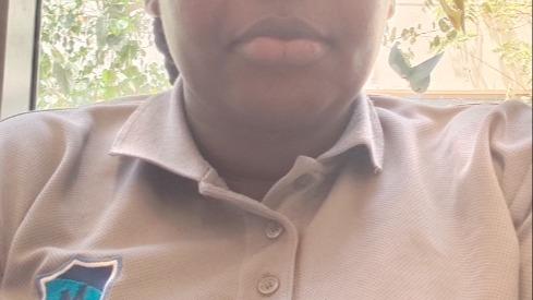 Zenah  Dog boarding, Pet Boarding, Dog Walking and Pet Sitting.
