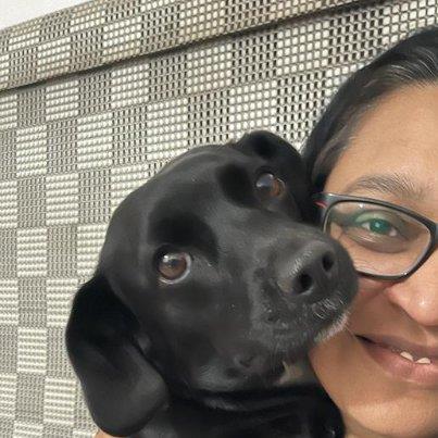 Merina Pet hotel experience in real homes! 2