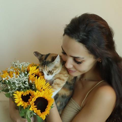 Aline Pet hotel experience in real homes! 2