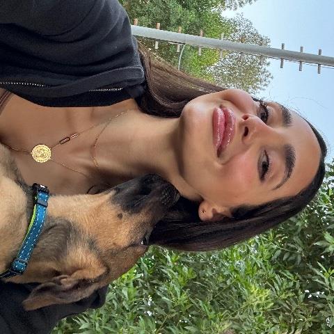 Aline Pet hotel experience in real homes! 3
