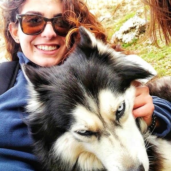 Melissa  Pet hotel experience in real homes! 2
