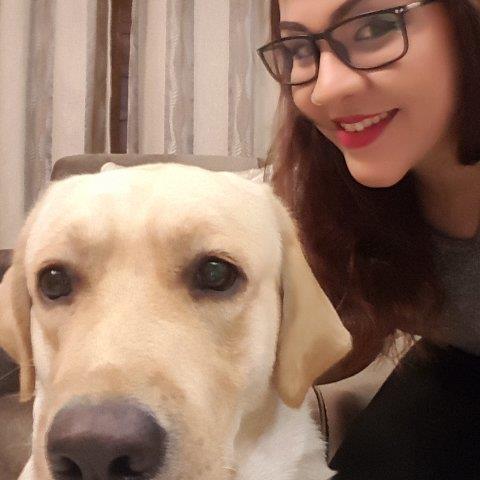 Mansi Pet hotel experience in real homes! 3