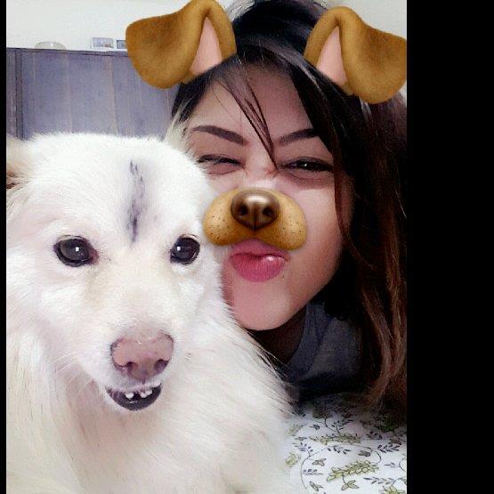 Mansi Pet hotel experience in real homes! 4