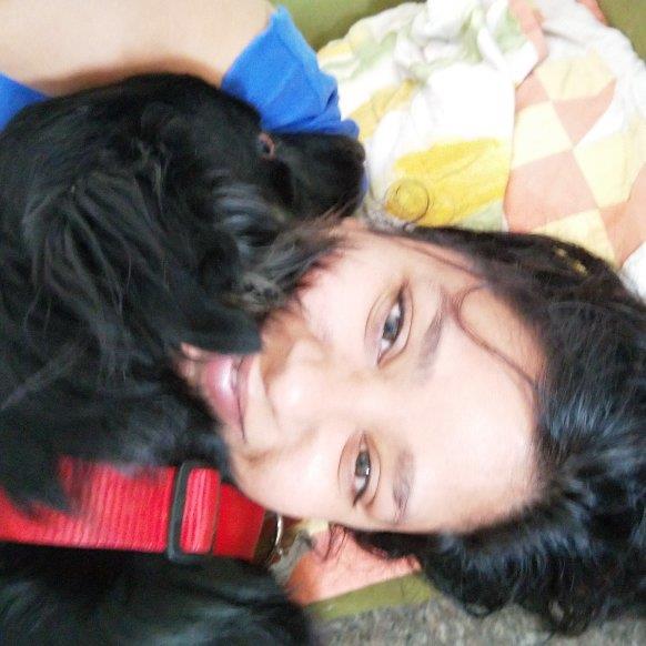 Akanksha Pet hotel experience in real homes! 1